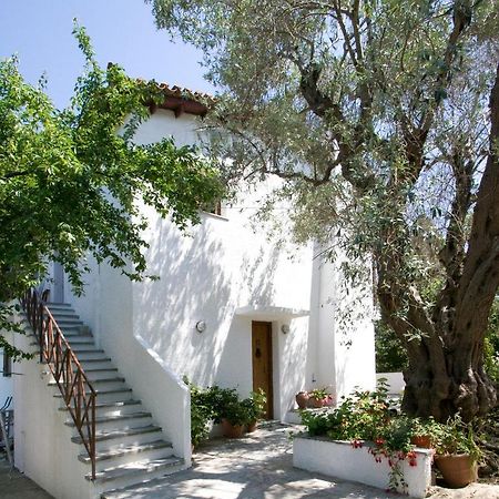 Villas Alexandra Skiathos Platanias  ภายนอก รูปภาพ