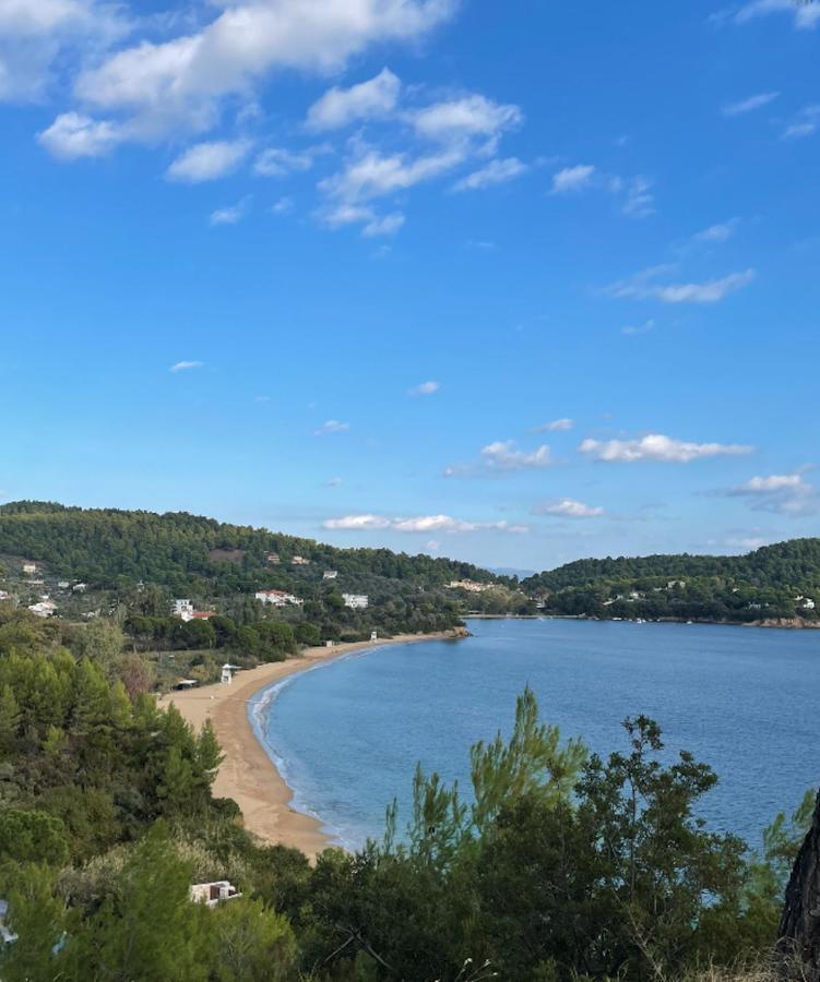 Villas Alexandra Skiathos Platanias  ภายนอก รูปภาพ